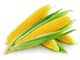 sweetcorn 1 pc